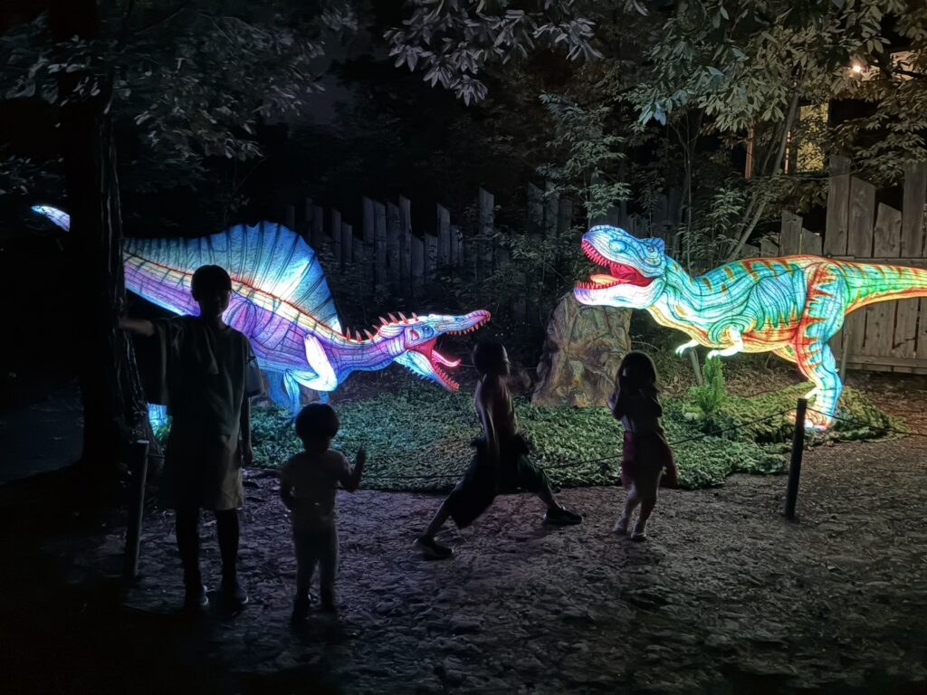 【実際の写真】　　投稿された写真