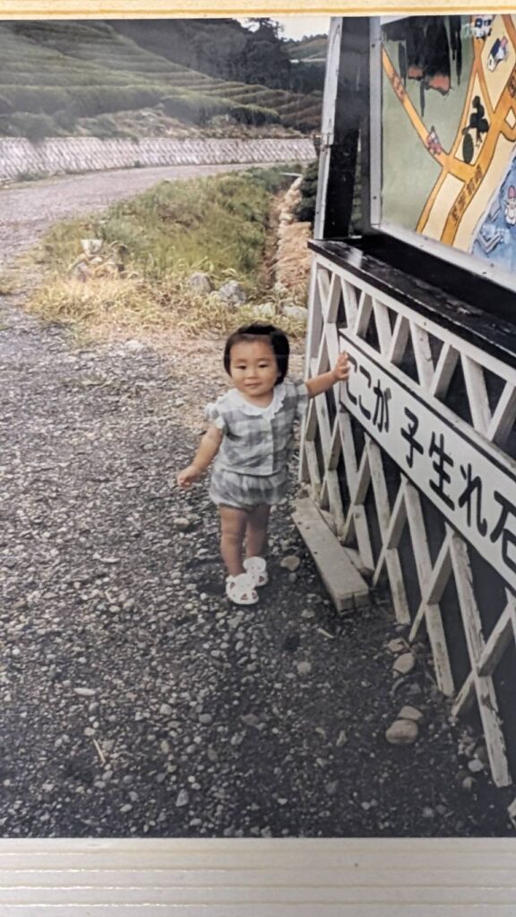 【実際の写真】　　現在の様子