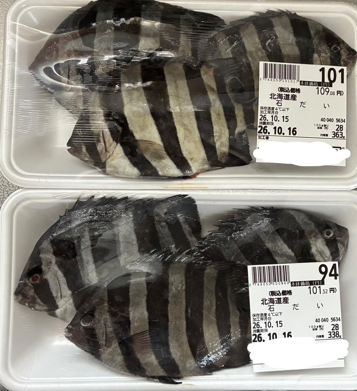 物価高なのに…100円で買えたまさかの魚に106万回表示「高級魚ですよ」「懐かしいー」「幻の魚じゃん」