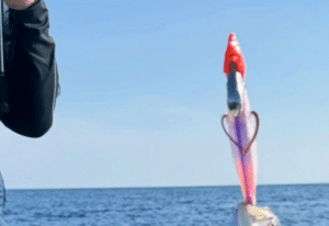 釣りをしていた男性。魚が釣れたと思ってみてみると→「これ以上のミラクルはない」衝撃的な光景に「そんなことあるんですかｗ」「夢のコラボで羨ましい」「漁夫の利過ぎる」