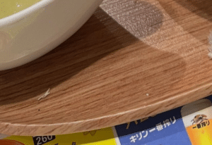 ココスで…「震えながら食べた」→夫婦が目にした”まさかのもの”に「ｗｗｗｗ」「すごい！」