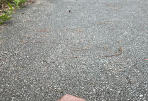 仕事の帰り、道端に落ちていた財布→しかし、近くでよく見ると…“衝撃の光景”に153万表示「すごいですね…」「奇跡…！！」