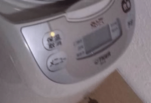 自炊経験ゼロの男性が炊飯器で“米3合”を炊くと……　フタを開けて目を疑った光景に74万表示「まってwwww」