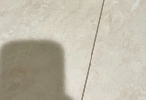 激しい腹痛でトイレにこもっていた女性。→しかし直後、足元の”まさかの光景”に…「泣いた」
