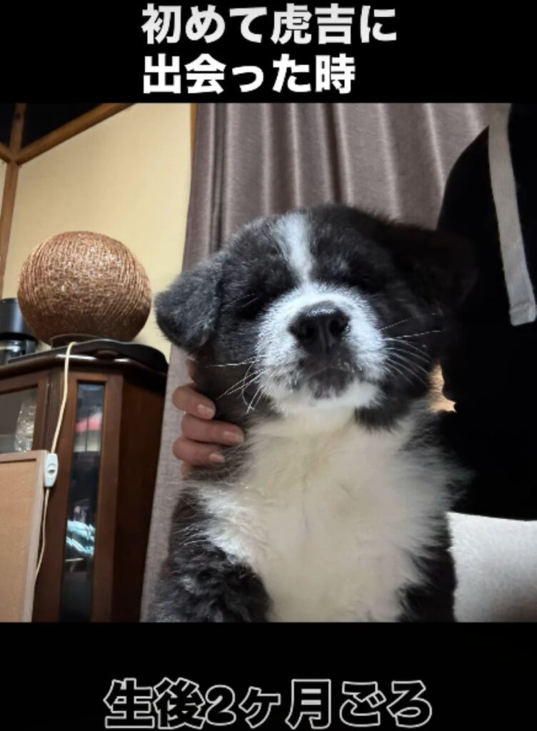 【実際の写真】　　投稿された写真