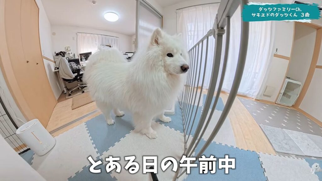 【実際の写真】　　投稿された写真