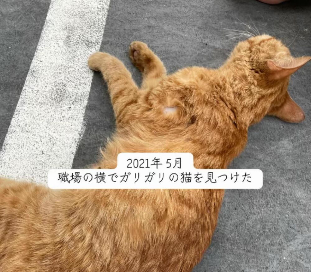 【実際の写真】　　現在の様子