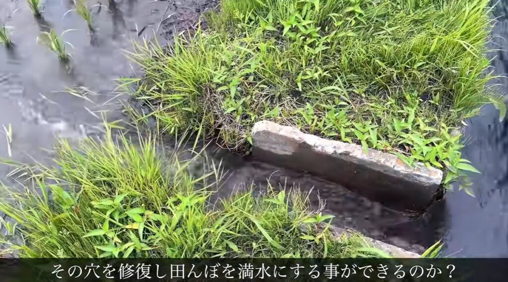 【実際の写真】　　まさかの光景