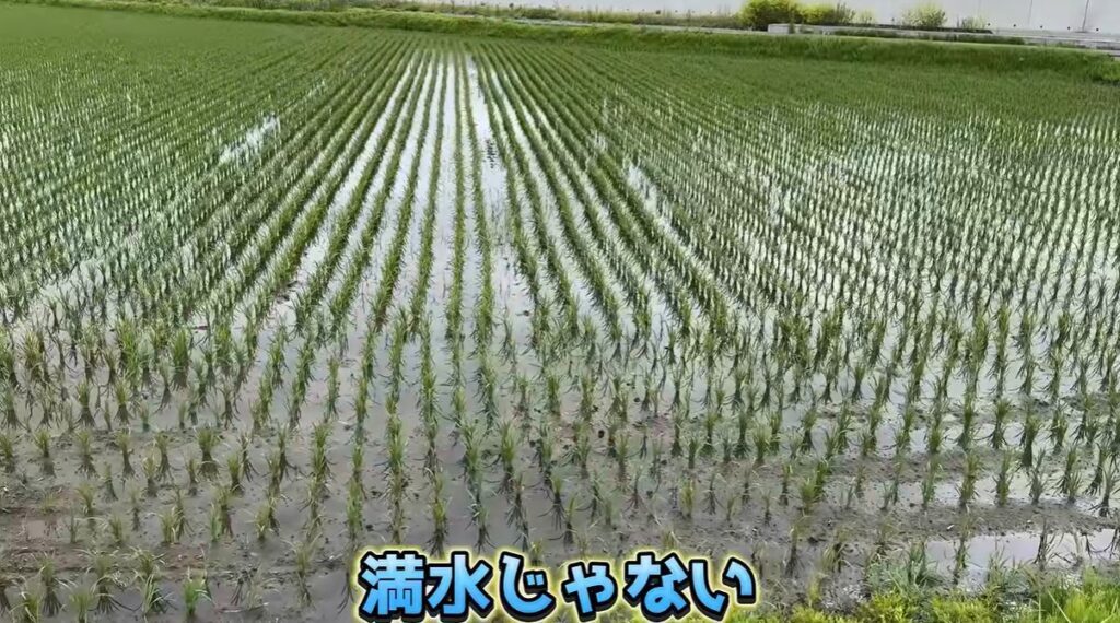 田んぼの穴への対処②（＠sesefarmさんより提供）