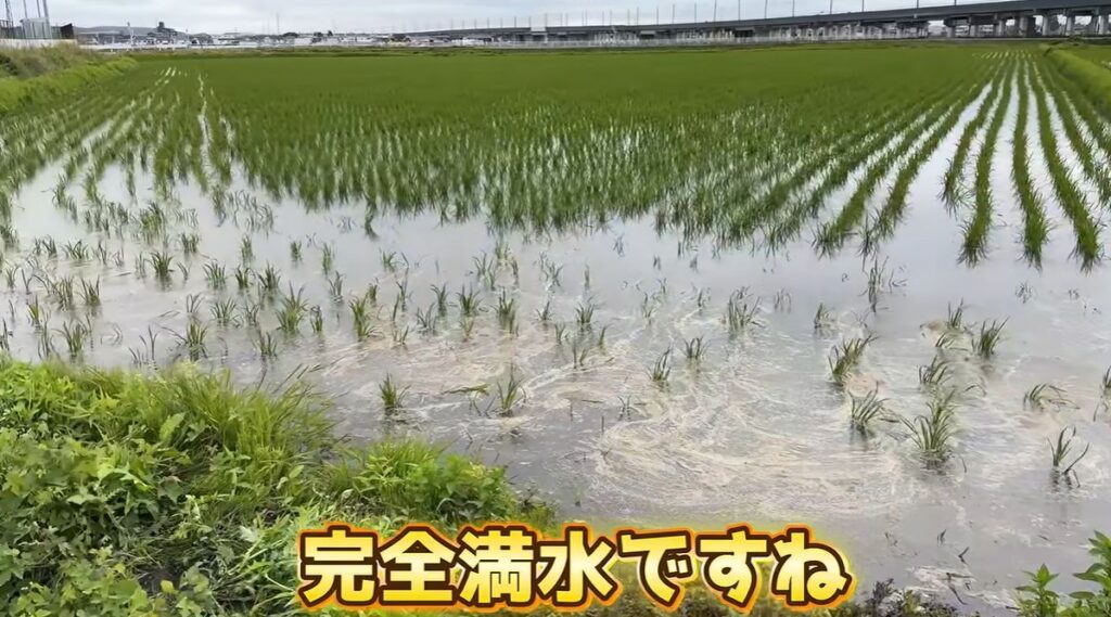 田んぼの穴への対処⑥（＠sesefarmさんより提供）