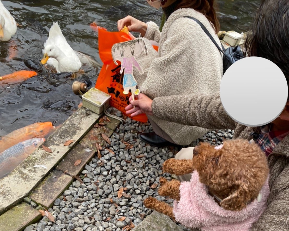 『「ハルも一緒に連れて行ったよ」って突然家族グループで写真が送られてきて笑っちゃった。普段クールなお父さんがちゃんと持ってるのも面白かった』（@nameko__Qさんより提供）