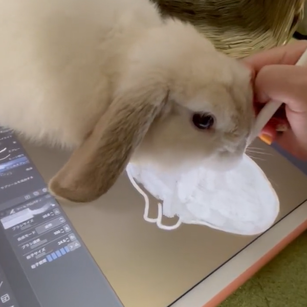 『さわってぇ……』（@LopMuffinさん提供）