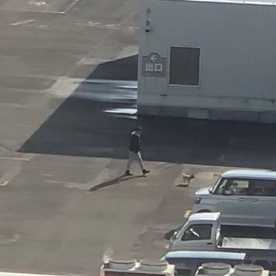 病室の窓から見えるスーパーの屋上にちょこちゃんを散歩させてくれた旦那さん（@Chihuahua_chokoさんより提供）