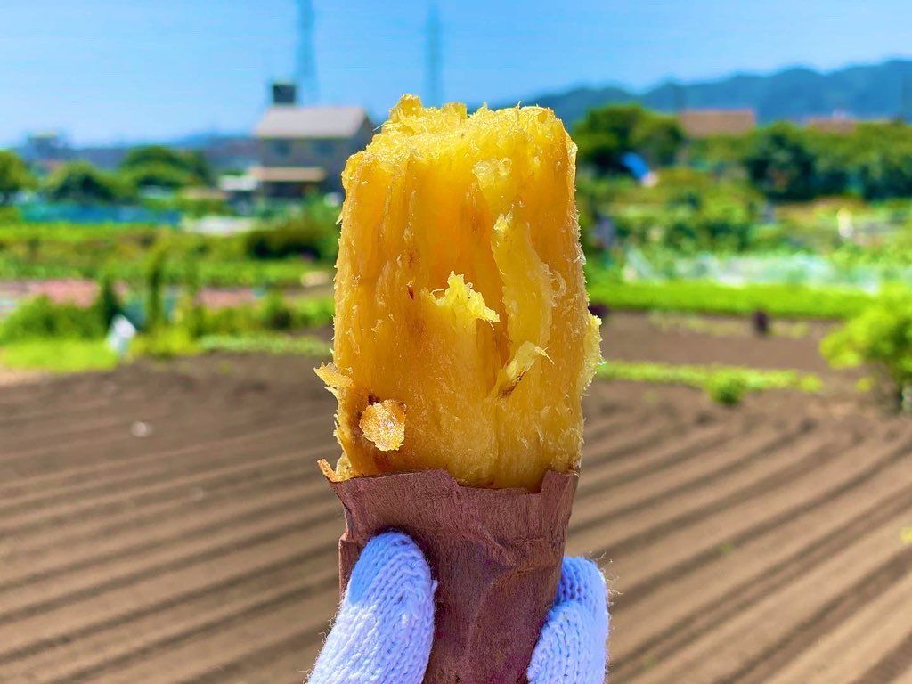 『「私、焼き芋屋さんになる」と言って先月動物看護師を辞めた妹。「十人十芋」という店名で焼き芋屋さん、はじめます』（@nameko__Qさんより提供）