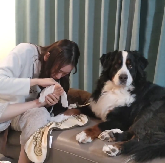 酔った飼い主の行動に愛犬も2度見！？　コントのようなやり取りに「何度も見返しています」「めっちゃいい反応」　当時の様子を撮影者に聞いた