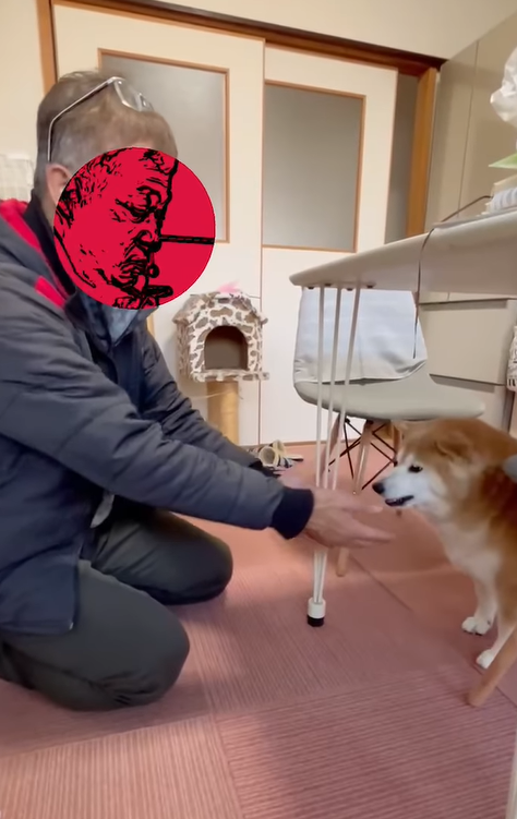 s.k.9…んより提供