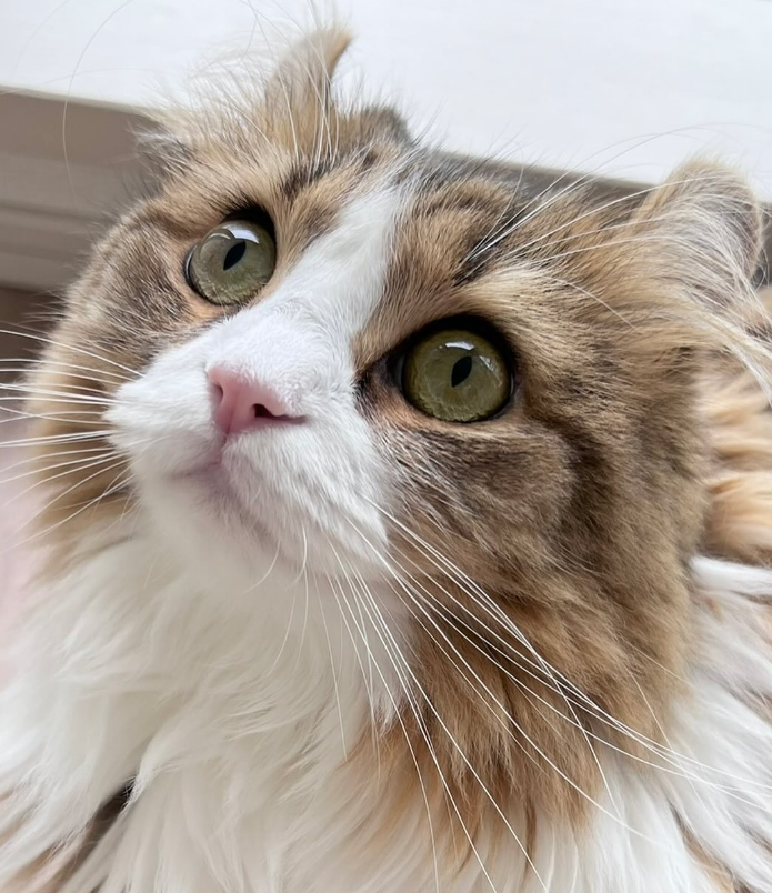 ___me…んより提供