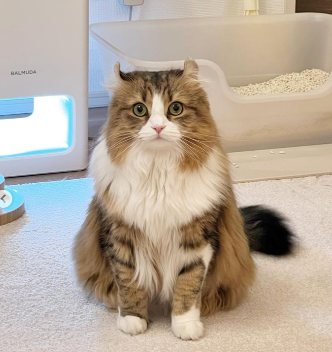 ___me…んより提供