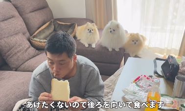 じっと見つめる3姉妹（＠melkuramarinさんより提供）